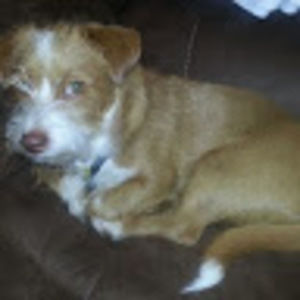 Meet your Posher, Bou